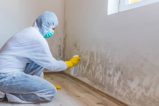 Licensed Mold Remediation service in Gloucester City, NJ - 24 Hour Mold Removal